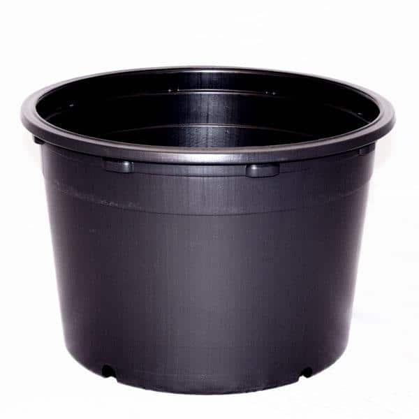 BLOW MOLDED CONTAINERS