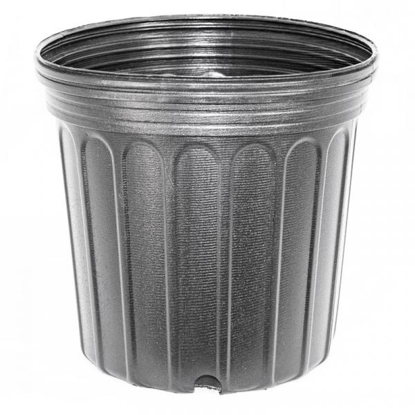 BLOW MOLDED CONTAINERS