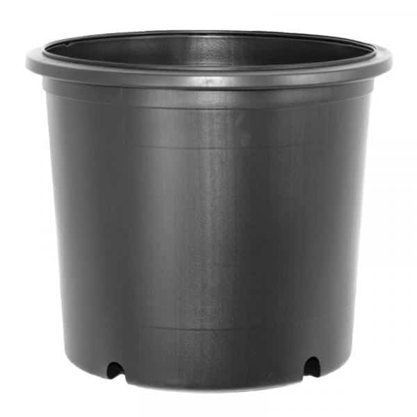 BLOW MOLDED CONTAINERS