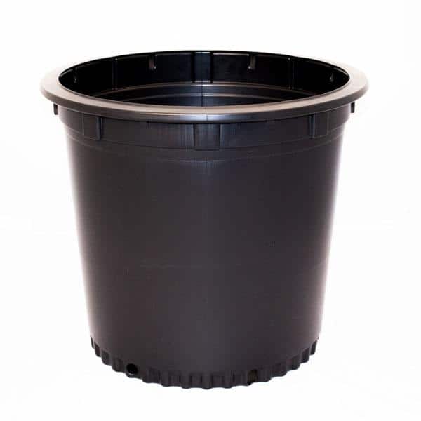 BLOW MOLDED CONTAINERS