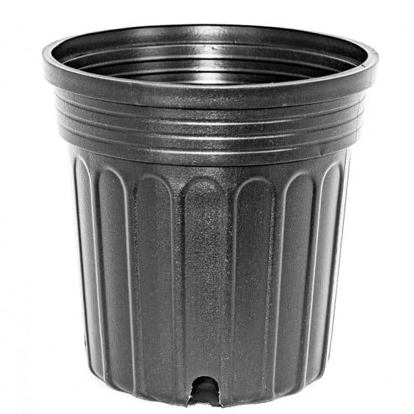 BLOW MOLDED CONTAINERS