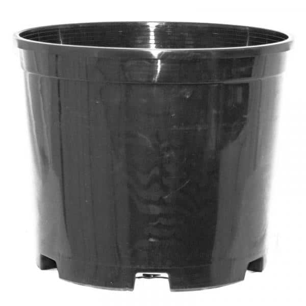 INJECTION MOLDED CONTAINERS