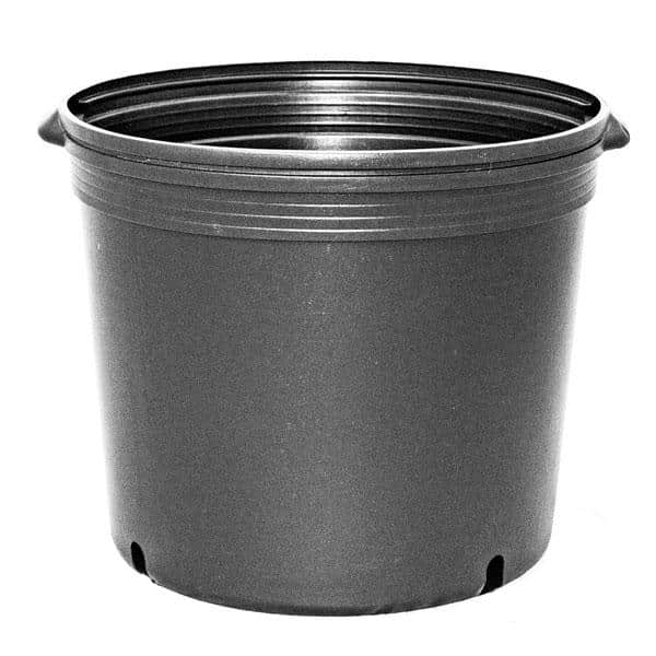 BLOW MOLDED CONTAINERS