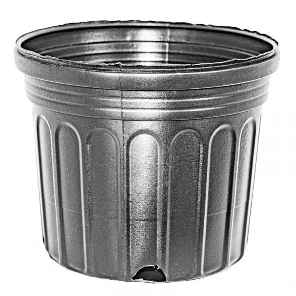 BLOW MOLDED CONTAINERS