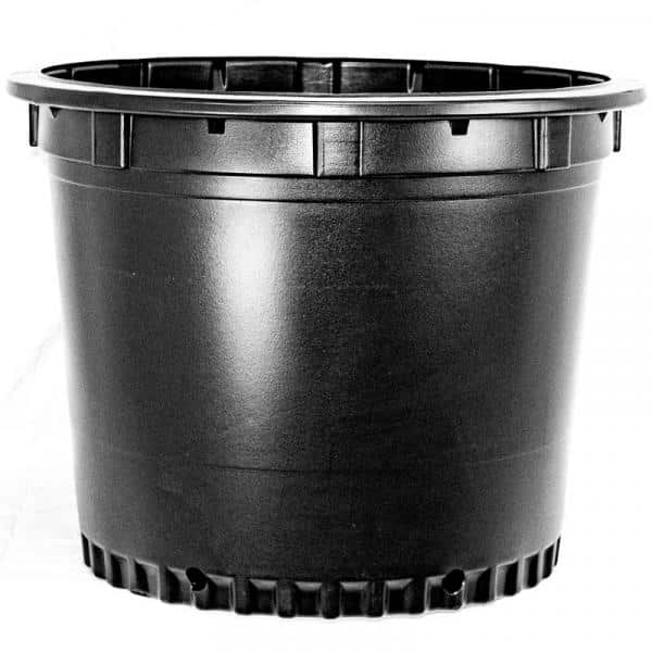 BLOW MOLDED CONTAINERS