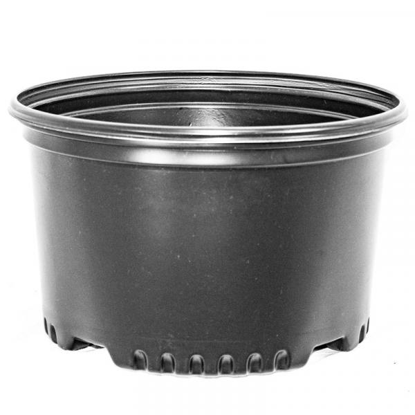 PRESSURE FORMED CONTAINERS