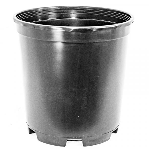 INJECTION MOLDED CONTAINERS