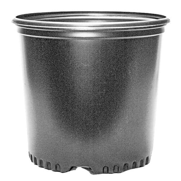 PRESSURE FORMED CONTAINERS