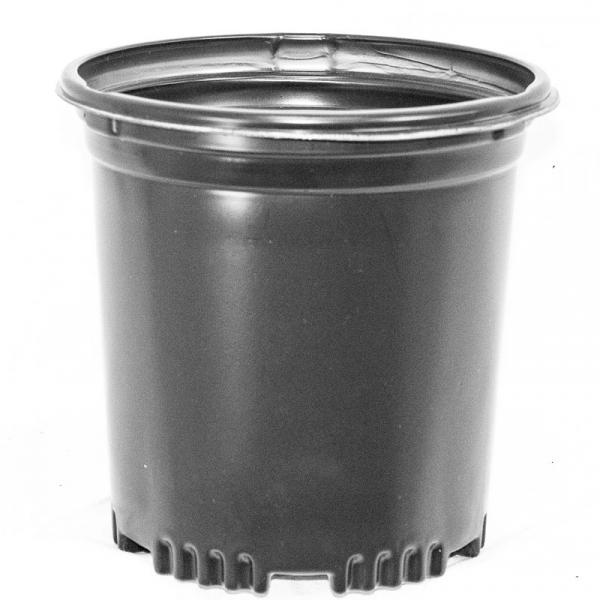 PRESSURE FORMED CONTAINERS