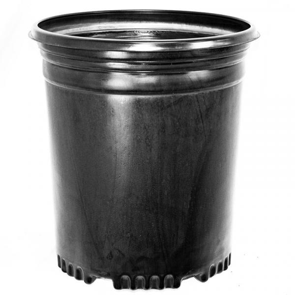 PRESSURE FORMED CONTAINERS