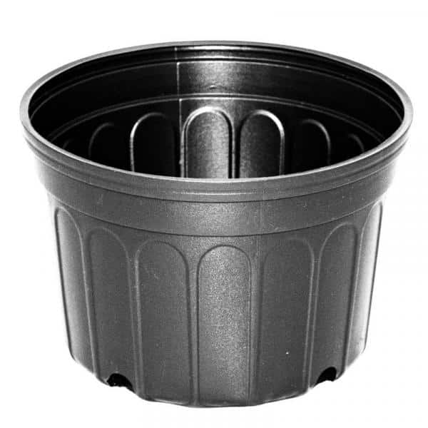 BLOW MOLDED CONTAINERS