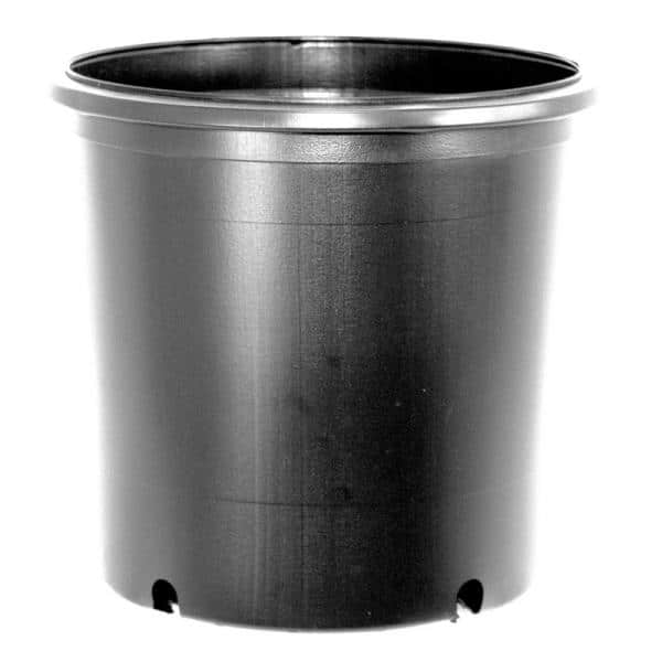 BLOW MOLDED CONTAINERS