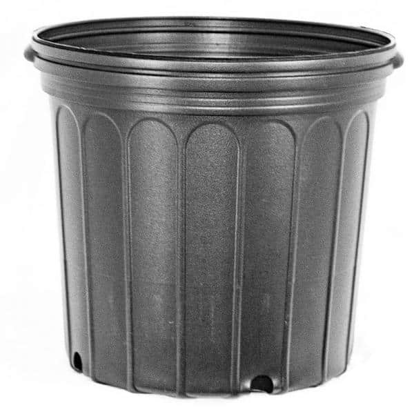 BLOW MOLDED CONTAINERS