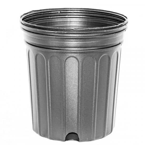 BLOW MOLDED CONTAINERS