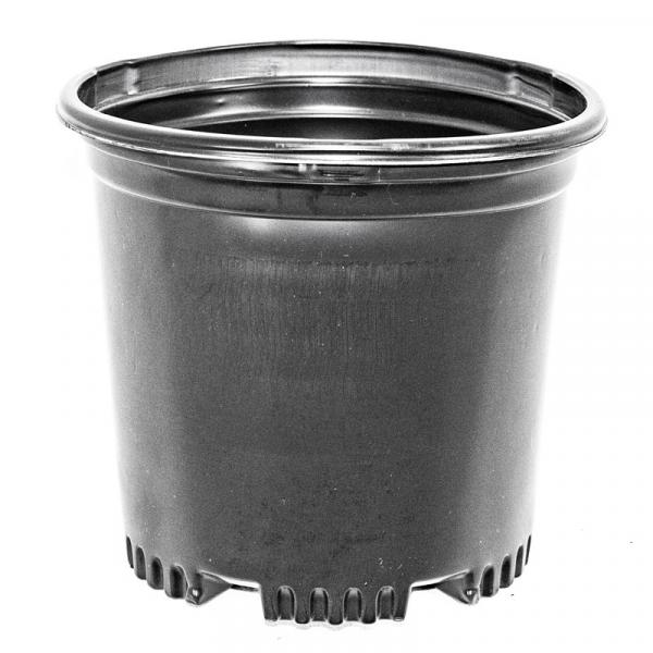 PRESSURE FORMED CONTAINERS