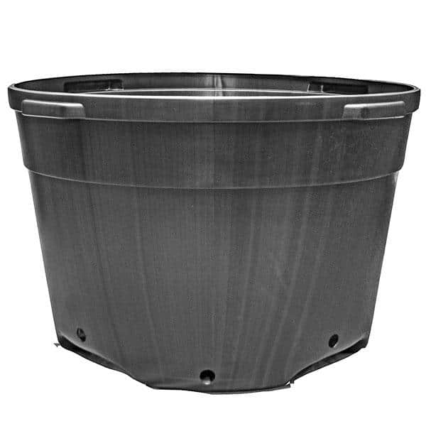 BLOW MOLDED CONTAINERS