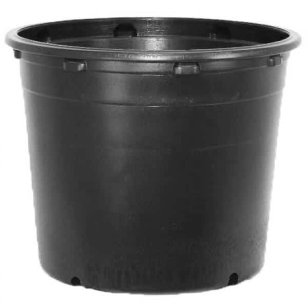 BLOW MOLDED CONTAINERS