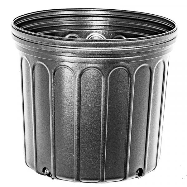 BLOW MOLDED CONTAINERS