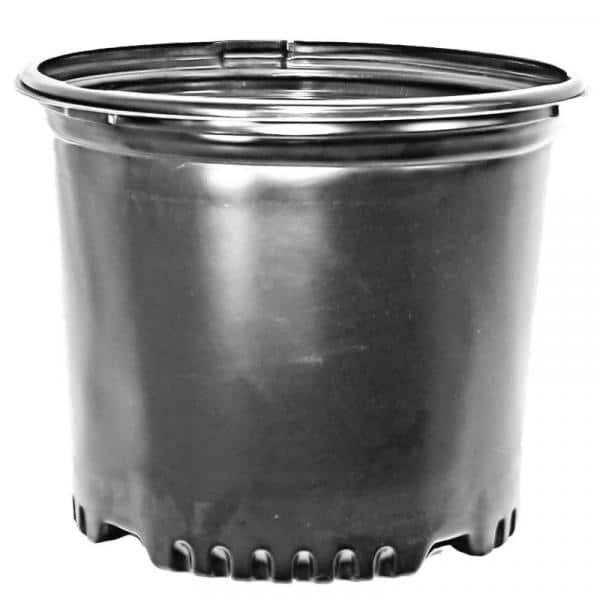 PRESSURE FORMED CONTAINERS