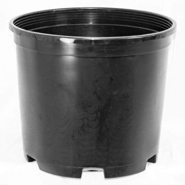 INJECTION MOLDED CONTAINERS