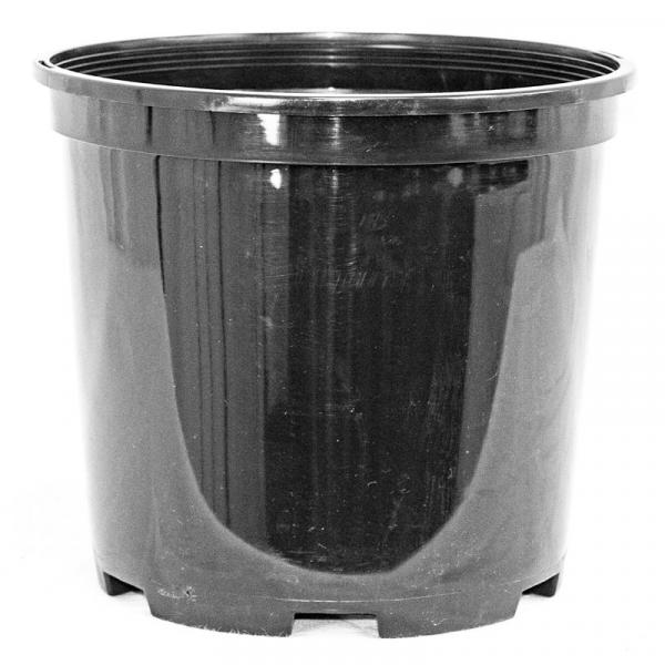 INJECTION MOLDED CONTAINERS