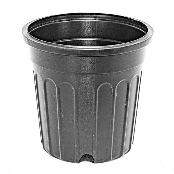 BLOW MOLDED CONTAINERS