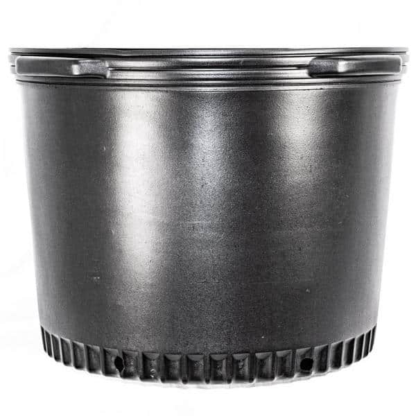 INJECTION MOLDED CONTAINERS