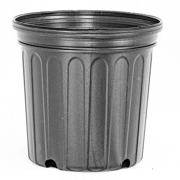 BLOW MOLDED CONTAINERS