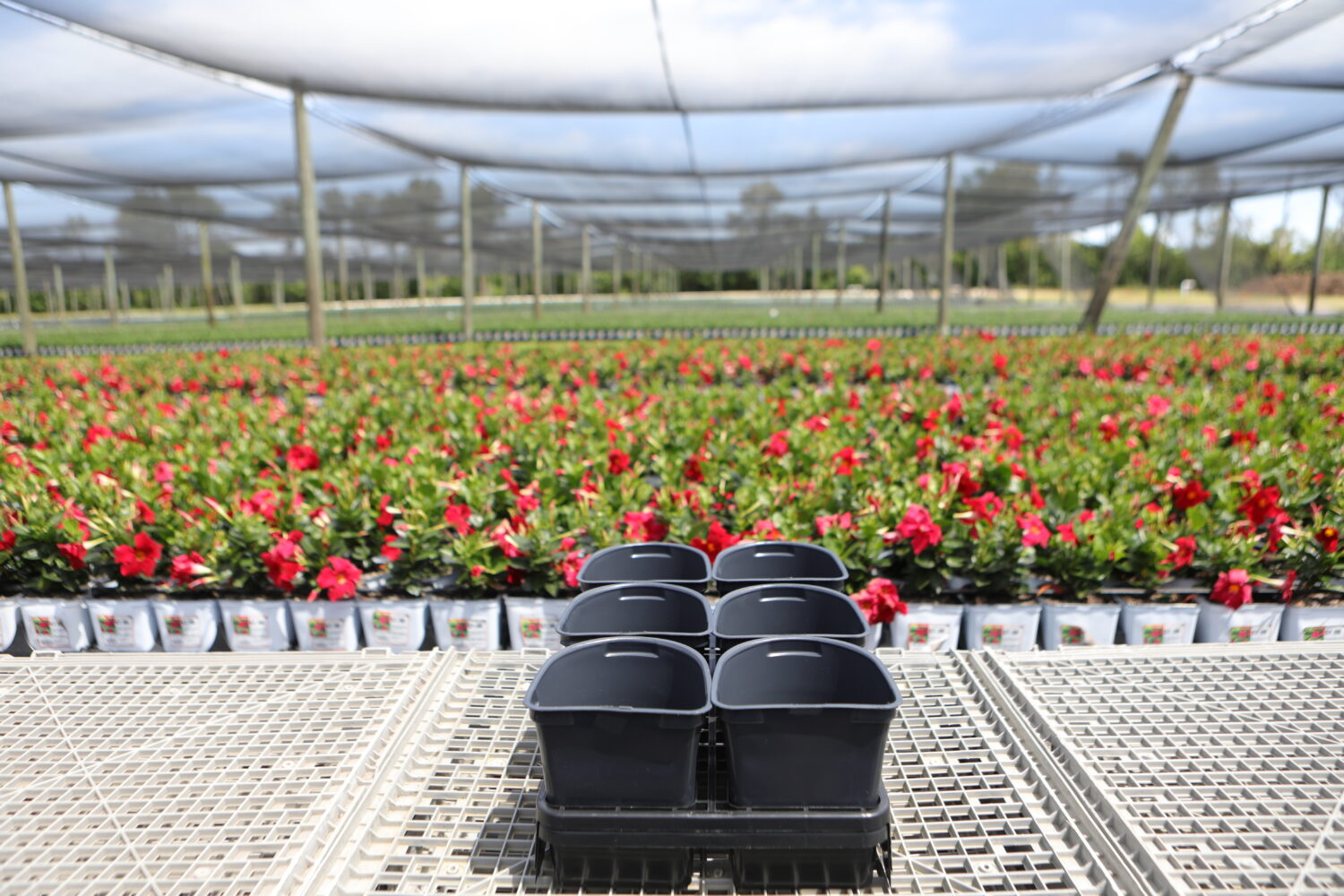 2.5 QT-6 Fill tray IM (side facing)