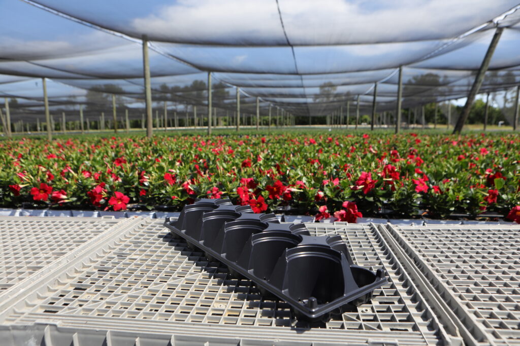 10.5cmH-10 Fill tray