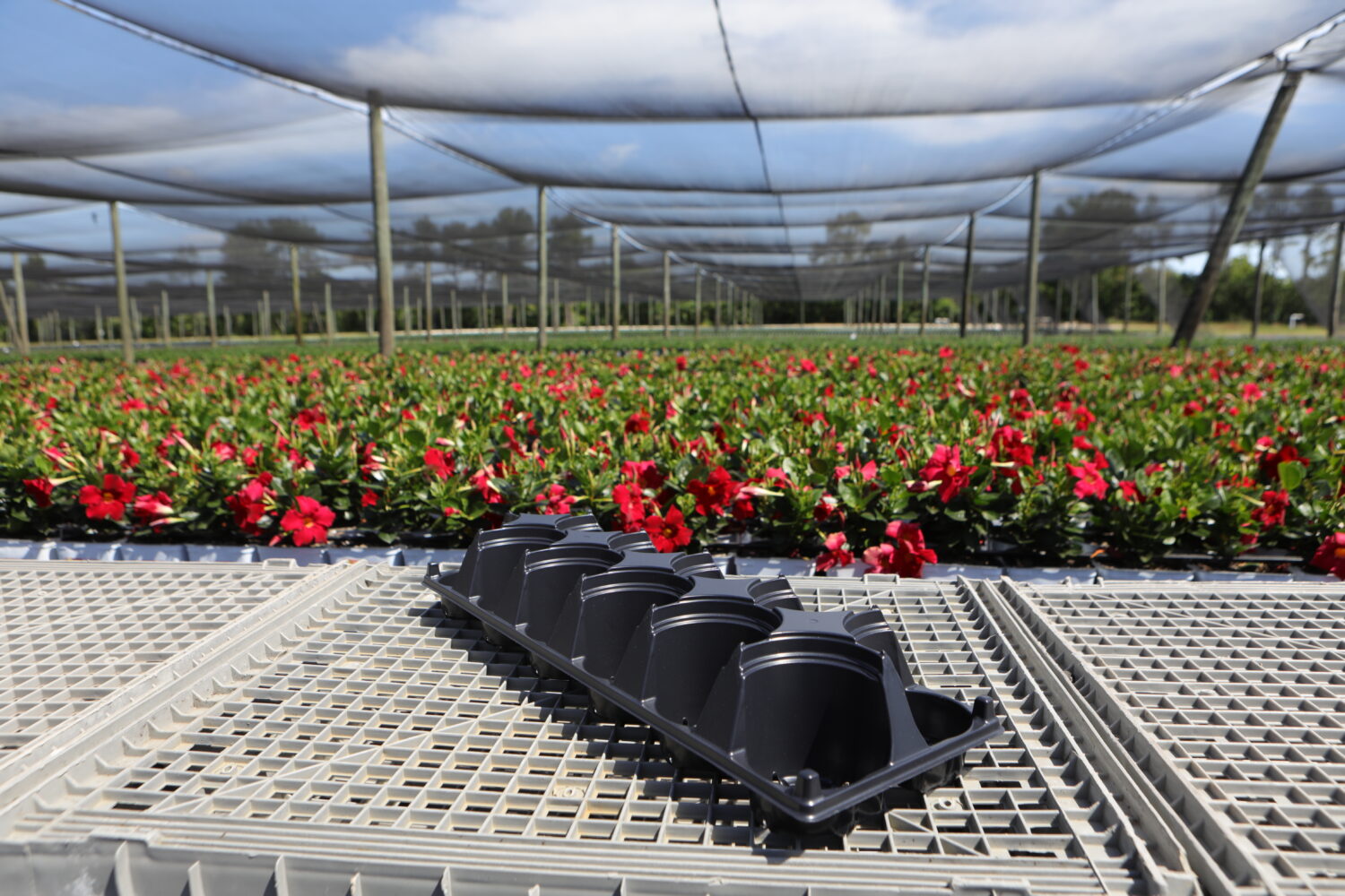 10.5cmH-10 Fill tray