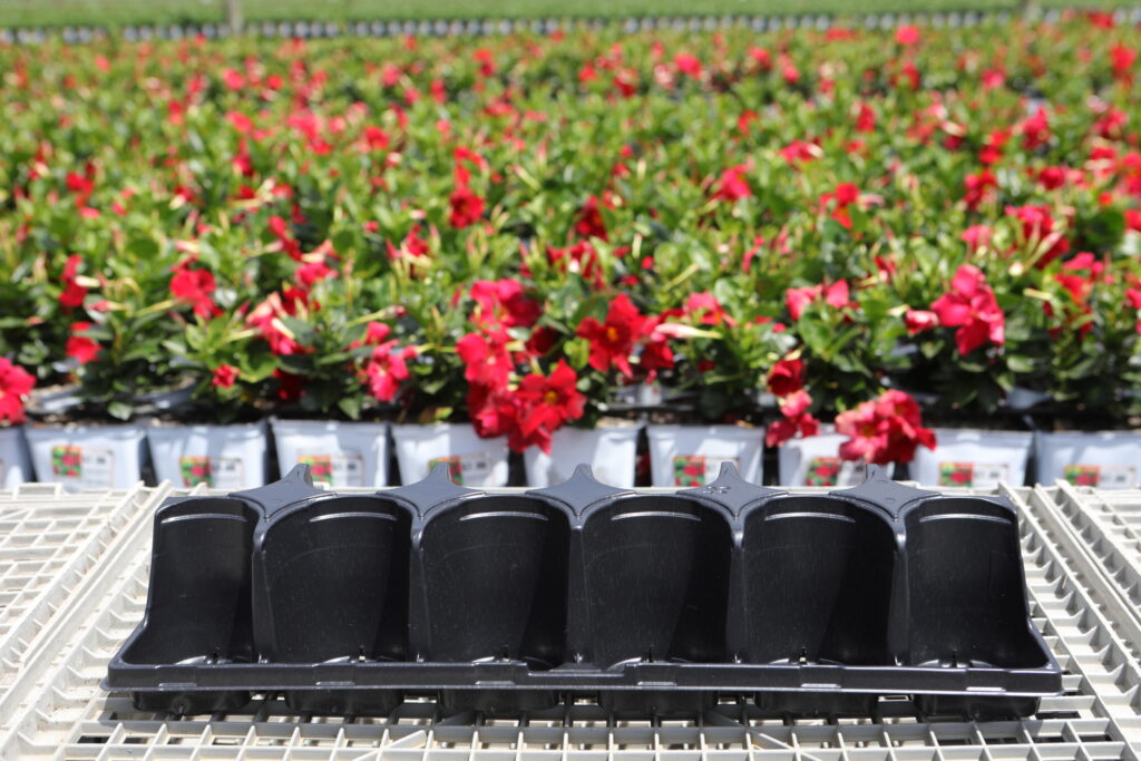 3D 1 Pint-12 Fill tray