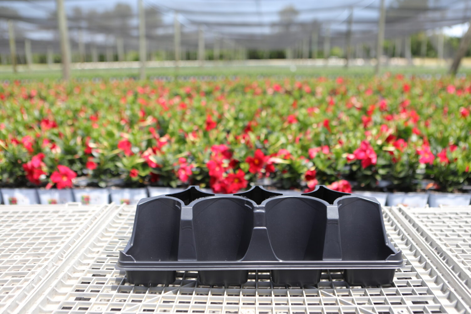 3D 1.25 QT-8 Fill Tray