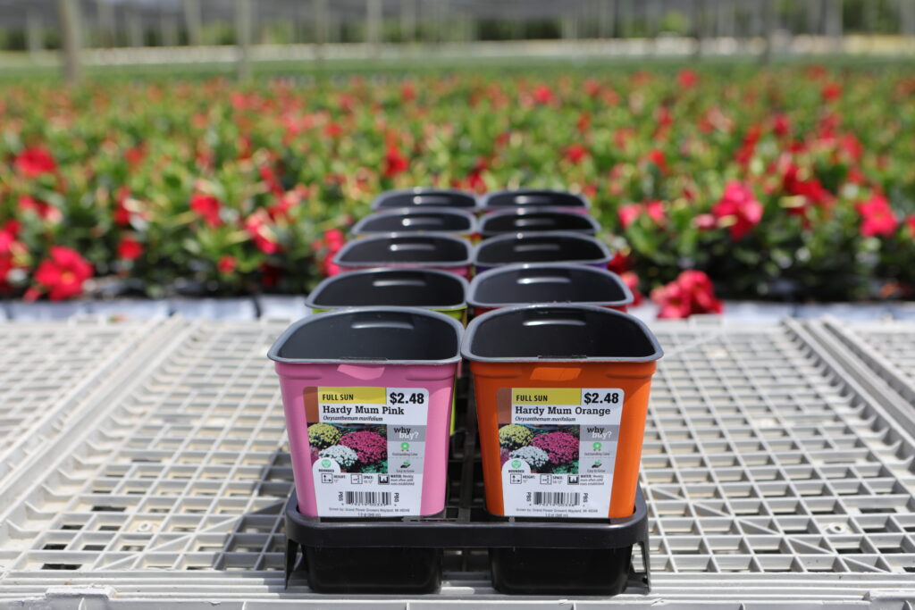 3D 1 QT-10 Fill tray