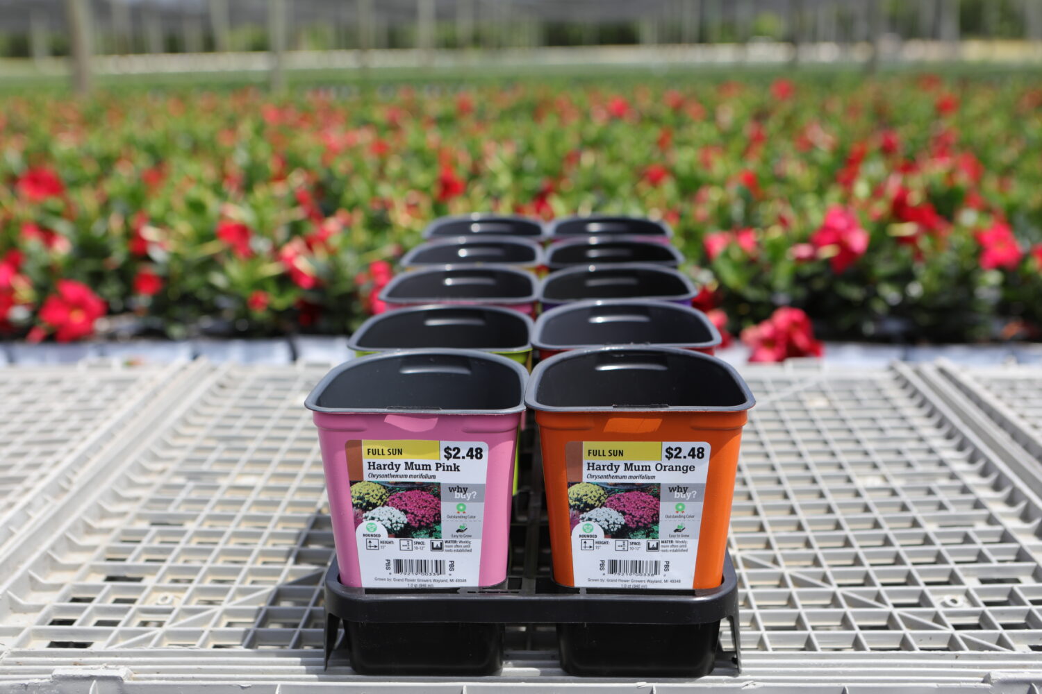 3D 1 QT-10 Fill tray